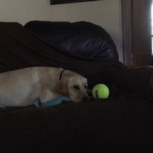 Meet your Posher, Tracy